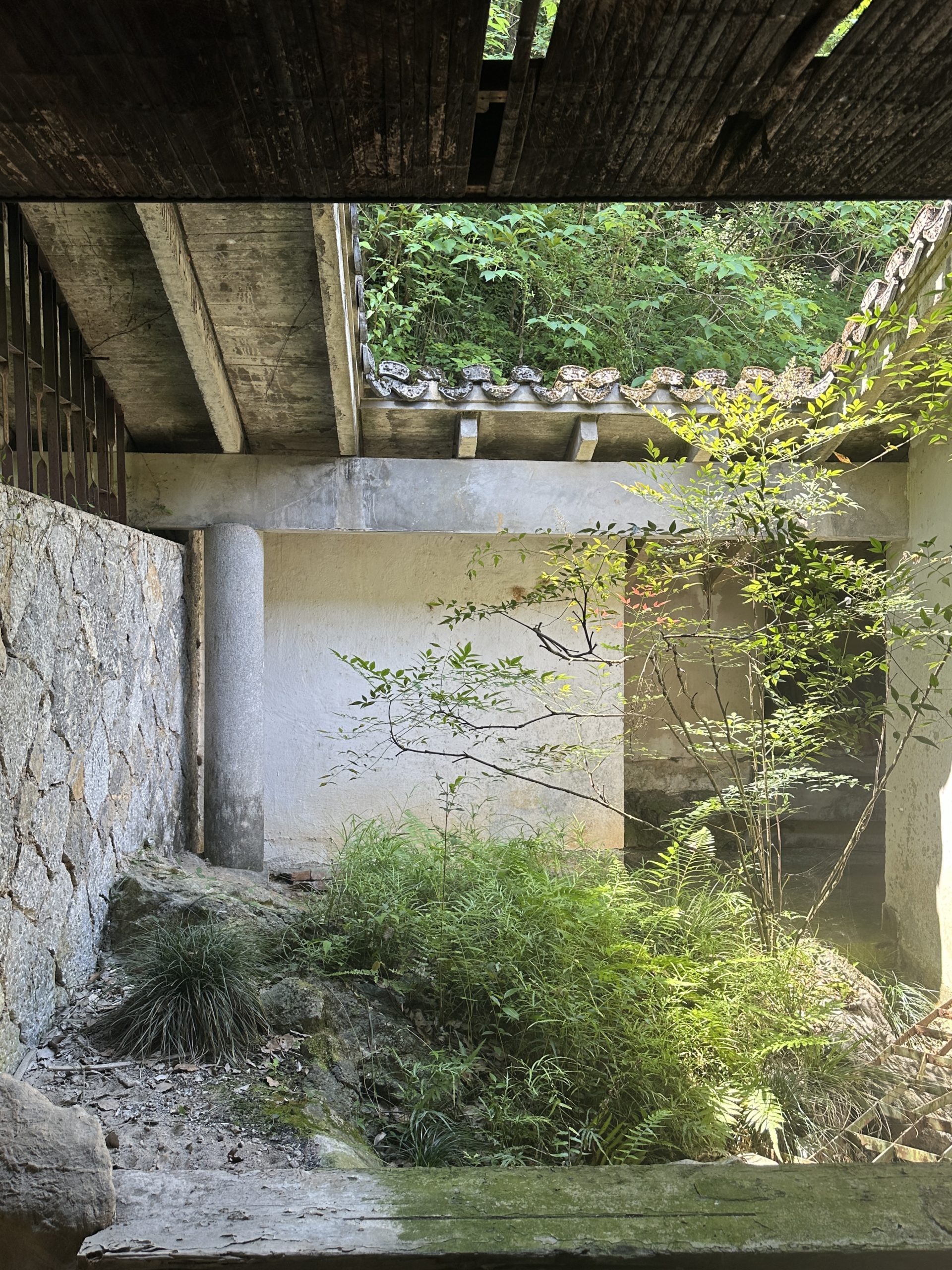 2025-05-11-130728-scaled 2025-05-11-130728-scaled