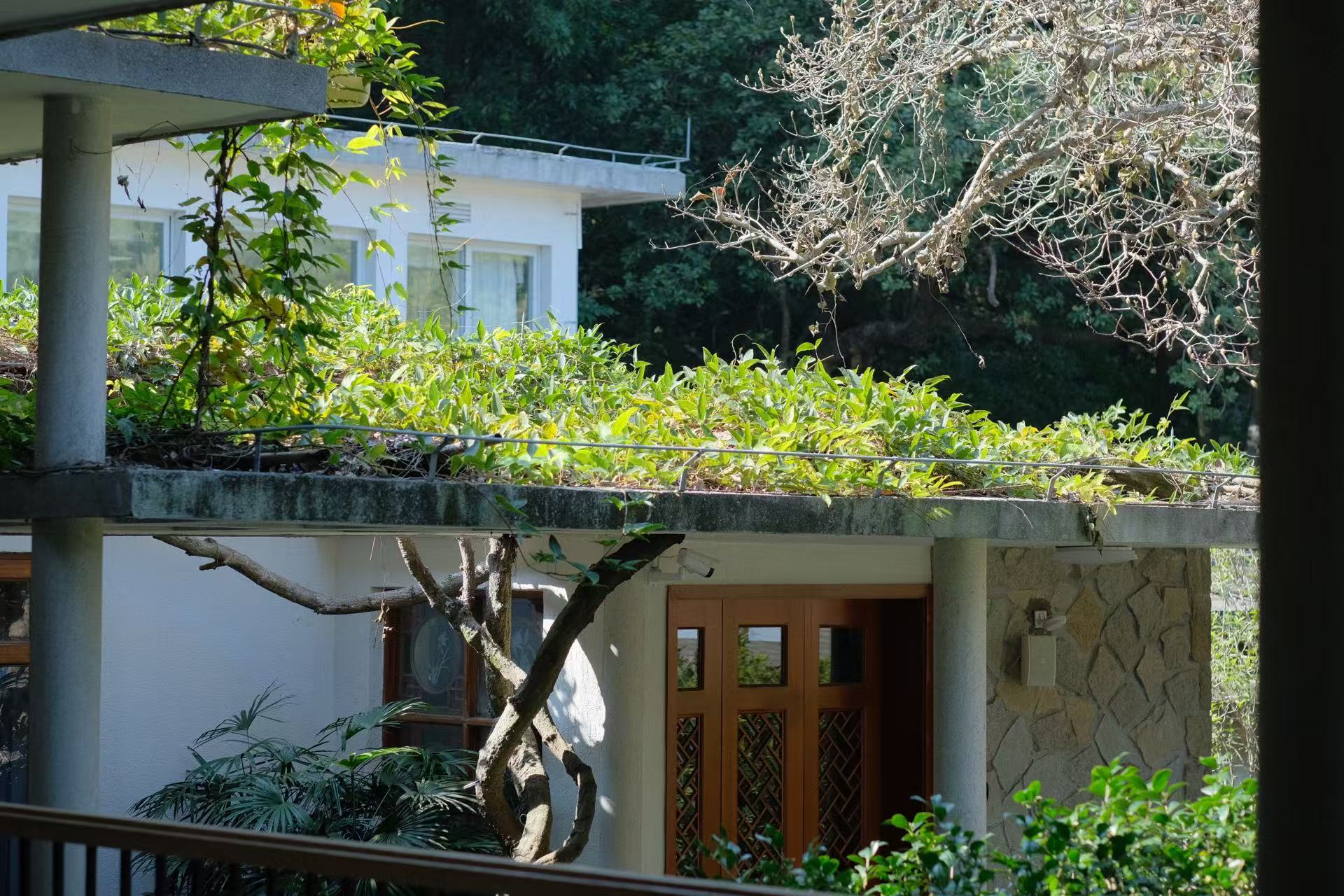 微信图片_2025-08-19_154920_326 微信图片_2025-08-19_154920_326