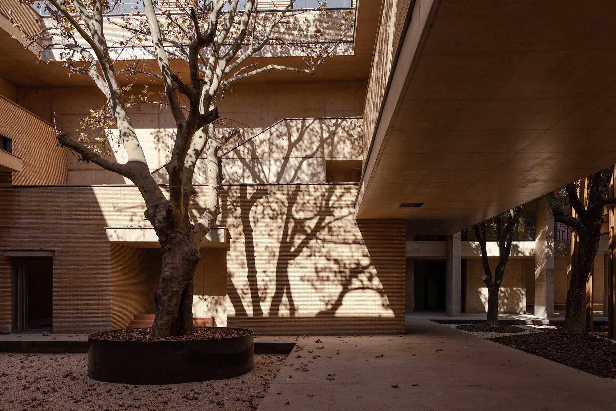 景仰书院 (6) 景仰书院 (6)